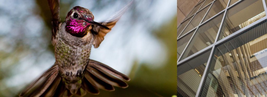 Feather Friendly Technologies